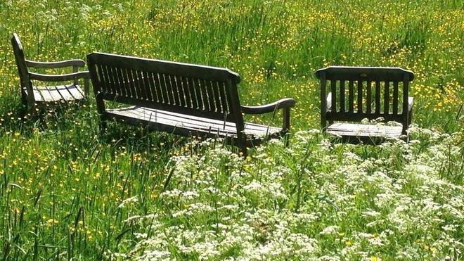 Lenke til artikkel: God sommer!