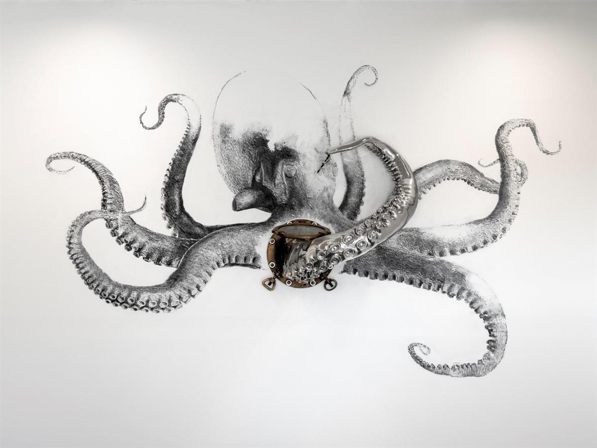 Tegning av blekksprut - Klikk for stort bilde
