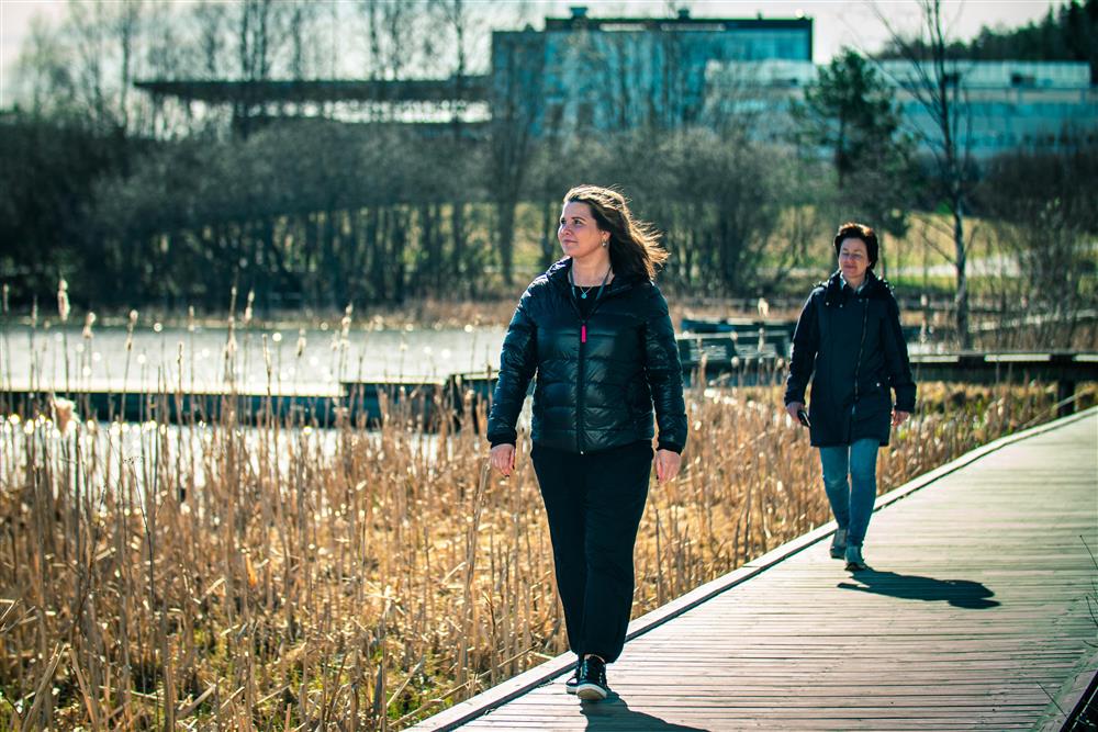 Klikk for stort bilde