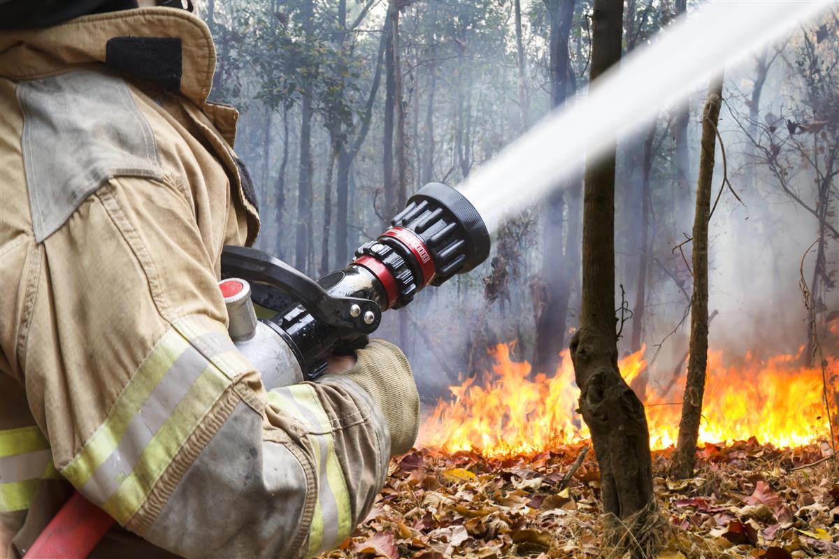 Brannkonstabel som spyler vann på skogsbrann - Klikk for stort bilde