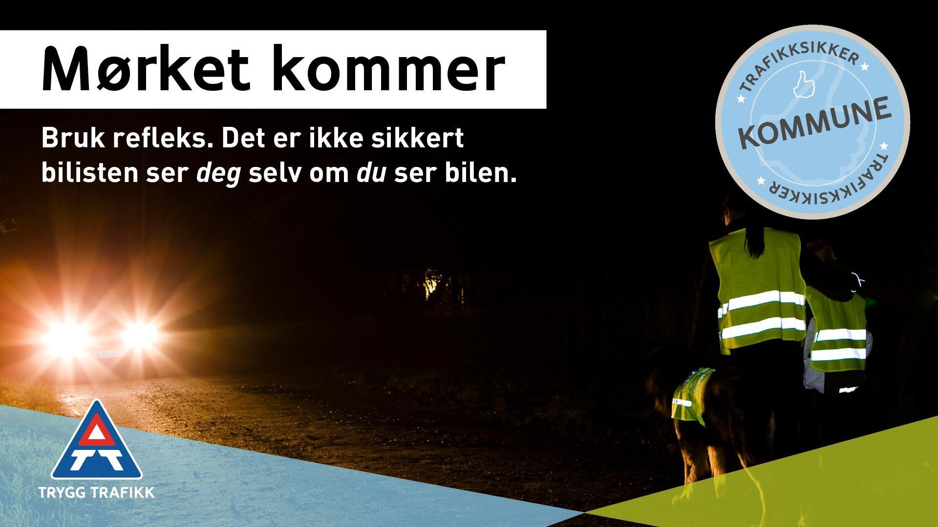 Lenke til artikkel: Refleksdagen - husk refleks!