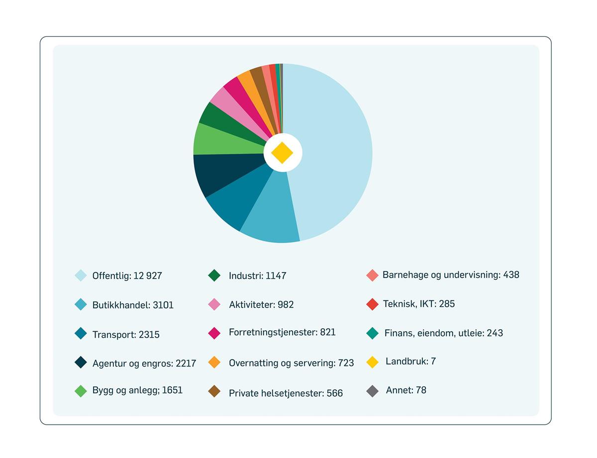 Kakediagram viser hvor mange ansatte det er i ulike bransjer. Størst er offentlig, deretter butikkhandel og transport. - Klikk for stort bilde