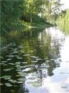 Klikk for stort bilde
