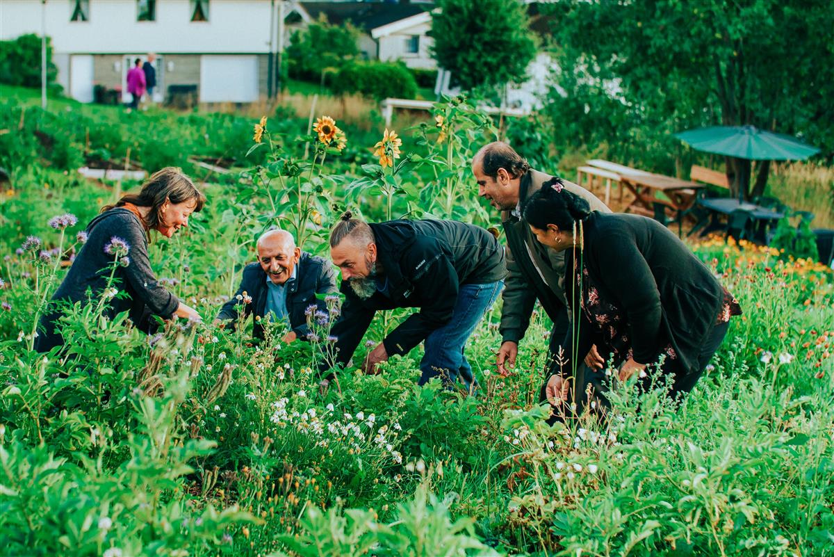 Blomstrende parsellhager på Skårer gård, Grønn, trygg og mangfoldig - Klikk for stort bilde