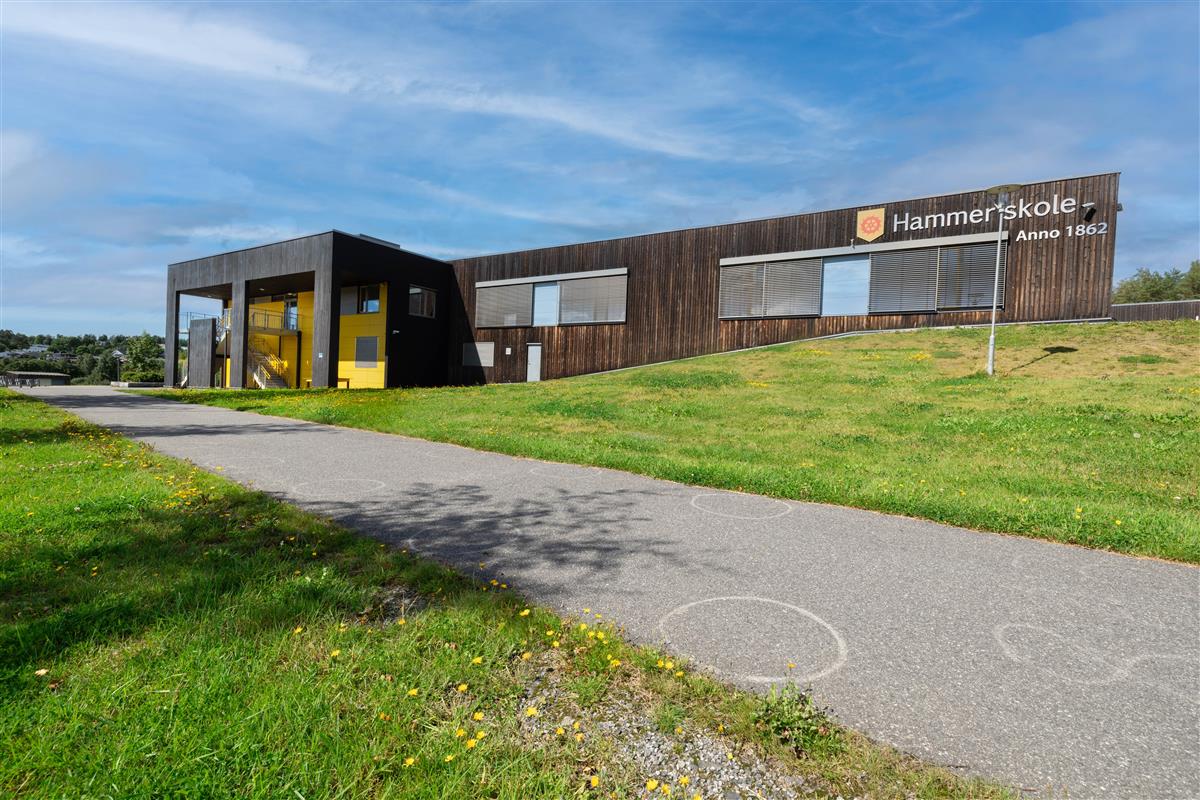 Skolebygg med fortau foran - Klikk for stort bilde