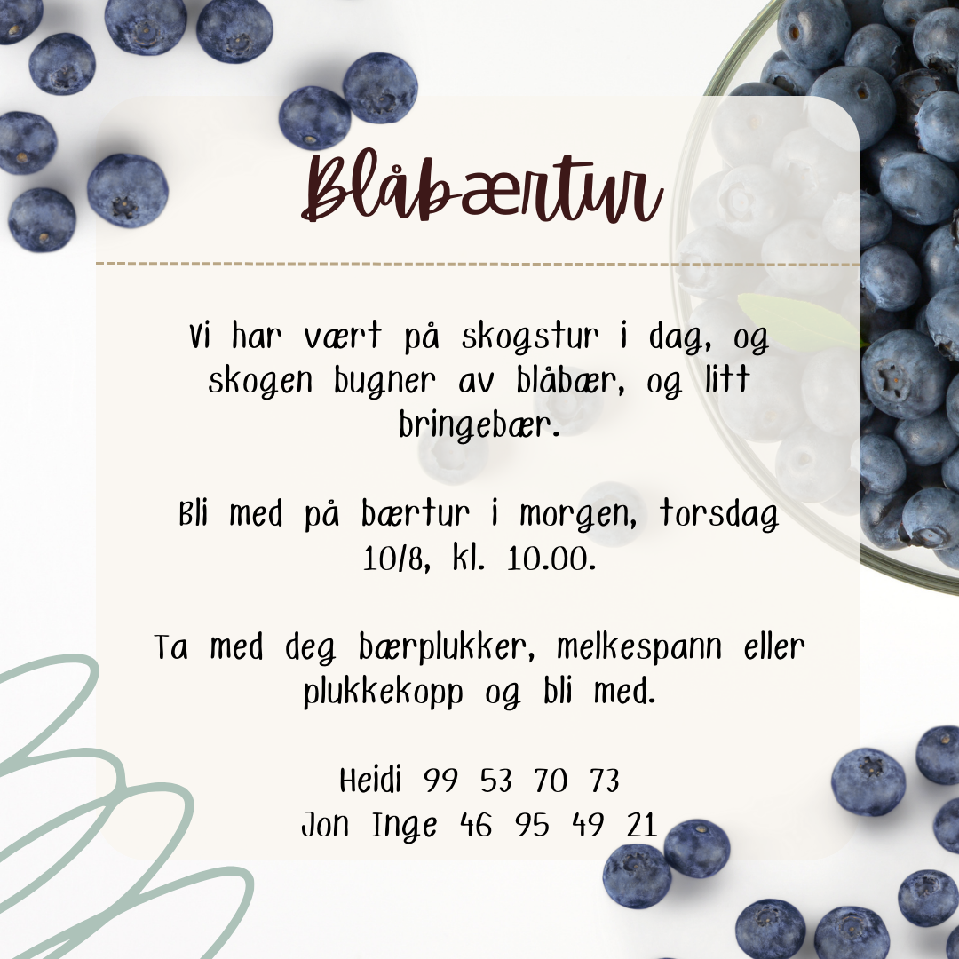 Invitasjon til blåbærtur - Klikk for stort bilde