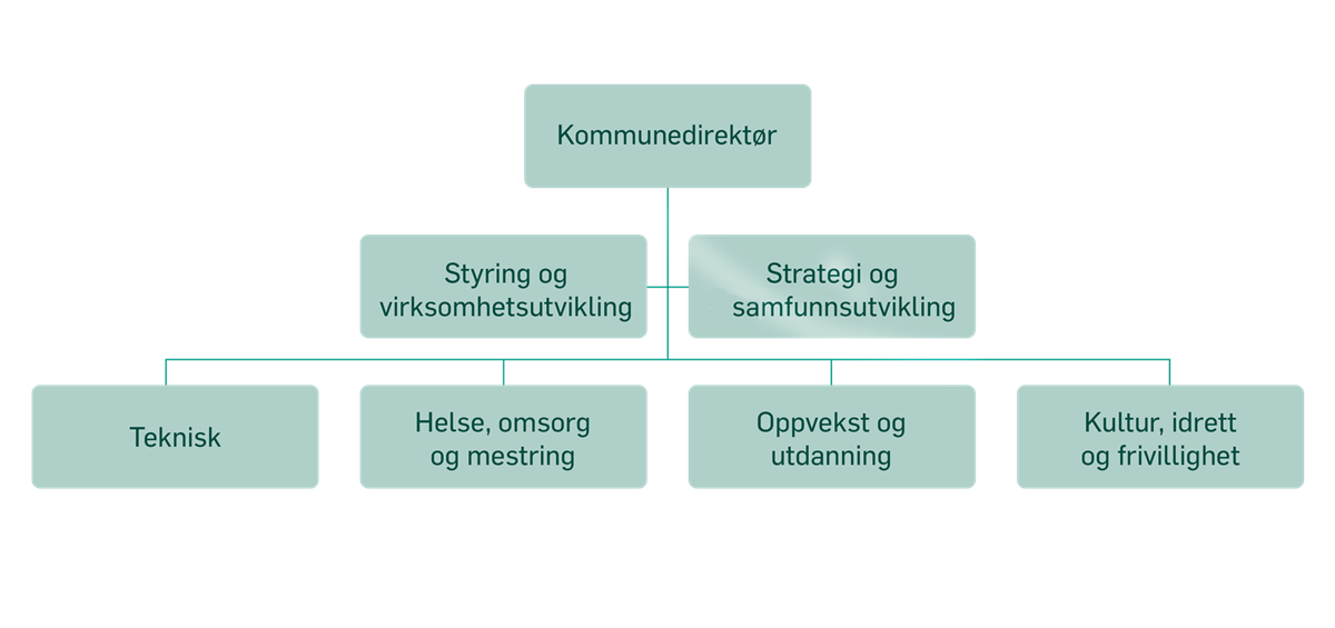 Organisasjonskart - Klikk for stort bilde