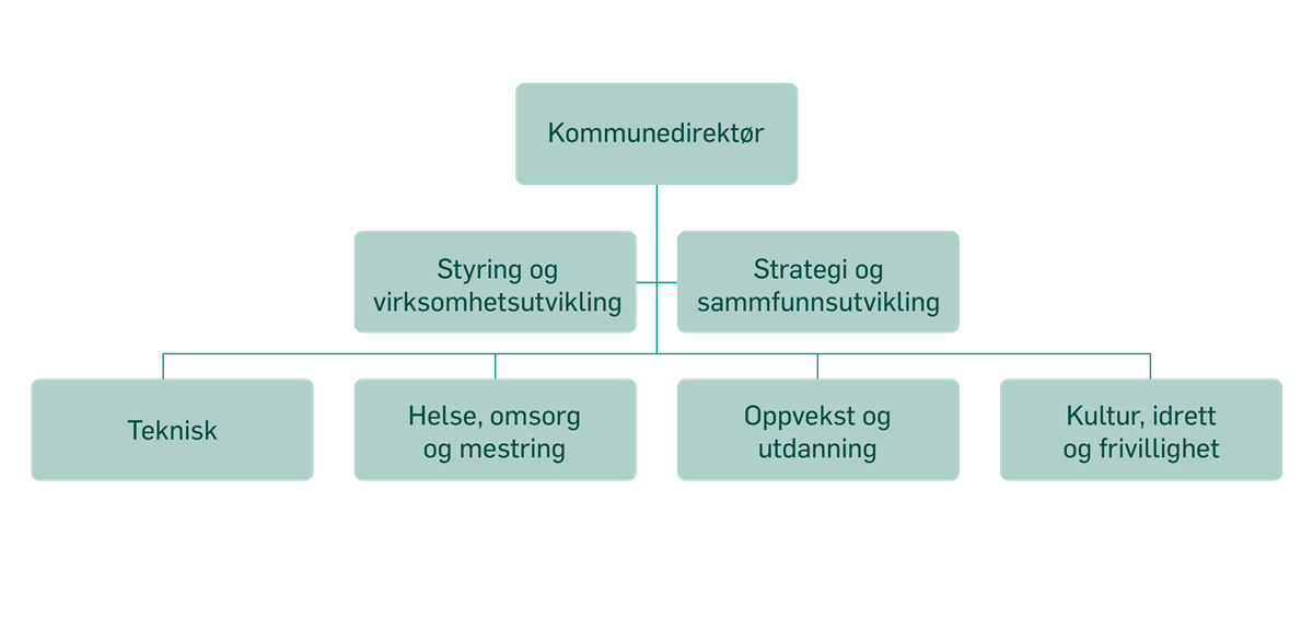 Organisasjonskart - Klikk for stort bilde