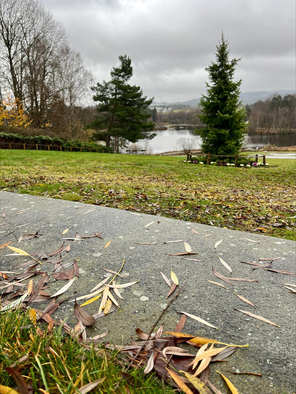 Høstløv i Rådhusparken - Klikk for stort bilde